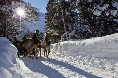 kutschenfahrt-im-pitztal--Tourismusverband-Pitztal-Christian-Forcher